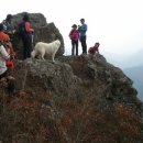 향로농장 이미지