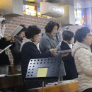 송사축사 이미지