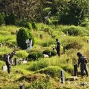 양택공설묘지 이미지