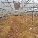 성복농장 이미지