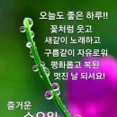 낙원족발 이미지