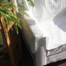 디스앤댓 이미지