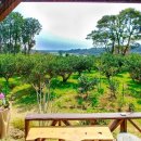 로만토피아오름추억 이미지