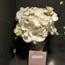 소피아홈 | 동탄 로즈소피아 부케말리기 후기💐