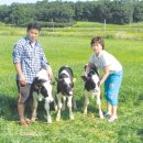 후안목장 이미지