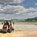 나의살던고향은 이미지