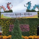 국화축제장 입구 이미지