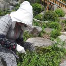 지리산산하루 이미지