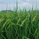 고금체육관 이미지