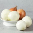 소2-33 쇼핑하우
