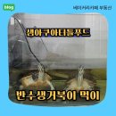 한결푸드 | 반수생거북이 먹이 추천 샘아쿠아터틀푸드 솔직 후기