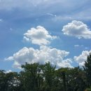 푸른하늘 이미지