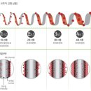 천연염색헤나킹
