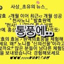 천사노니 - 북구 | 천사노니