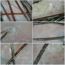 오땡큐 천연머리염색 이미지