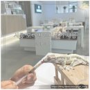 크레도니아 | 시흥 도마뱀 카페 크레도니아 시흥점 도마뱀 먹이주기 체험 다녀왔어요