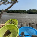 카우글램핑 이미지