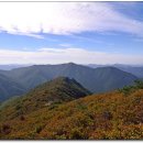 비즈-온 이미지