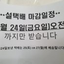 대저초등학교 이미지