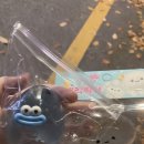 정임도서관 이미지