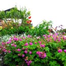 전원풍경 이미지