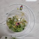 원예심리치료전문가과정 이미지