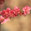 신답역(2) 이미지