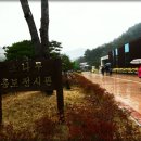 솔향공원 소나무전시관 이미지