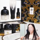 스칼렛헤어컬렉션 | 올해 꼭 사야 할 헤어템! 오리베 신제품 2025홀리데이 골드러스트컬렉션