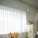아울스튜디오