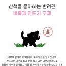 용호약국 이미지