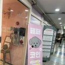 페퍼코인 노래연습장 이미지