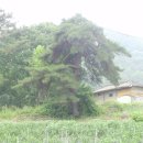 용2리마을회관 이미지