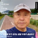 04월29일(월)29회15km/누적386km(인생 길) 이미지