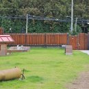 무아레도그라운드 이미지