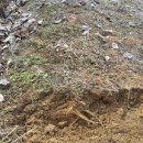 진아농장 이미지