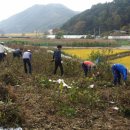 송학2리 이미지