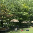 몽카페 - 달서구 송현로 103 | 평택근교 아기랑 광주 남한산성 계곡카페 몽쥬이에 내돈내산 솔직후기
