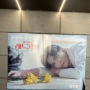꽃을 보고 설레어도 괜찮아.