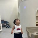 까페더모해 | 진주 15개월 아기 대관 키즈카페 오늘모해 방문 후기