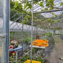 냇가민박 이미지