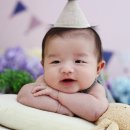 엘리스튜디오
