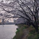 석촌공원길 이미지