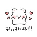 디저트콩콩 이미지