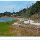 은파관광지 이미지