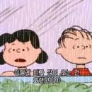 사계절물회 이미지