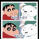 미니신일번지