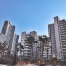 새마을공인중개사사무소 이미지