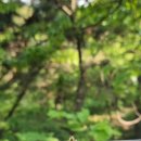 아차산 동행숲길 | 일상 해독을 위한 산책길-아차산 동행숲길을 걸어요