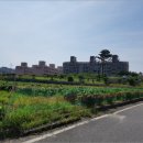 동부로 옥천-2 이미지